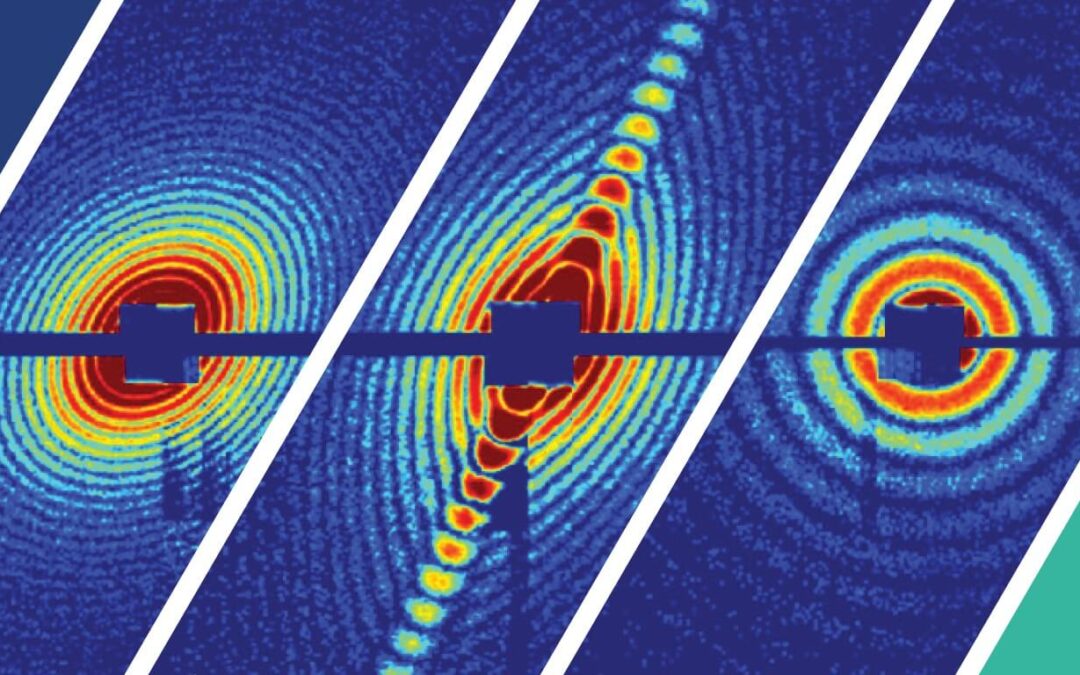Michael Barnett ’66 Awarded Dwight Nicholson Medal