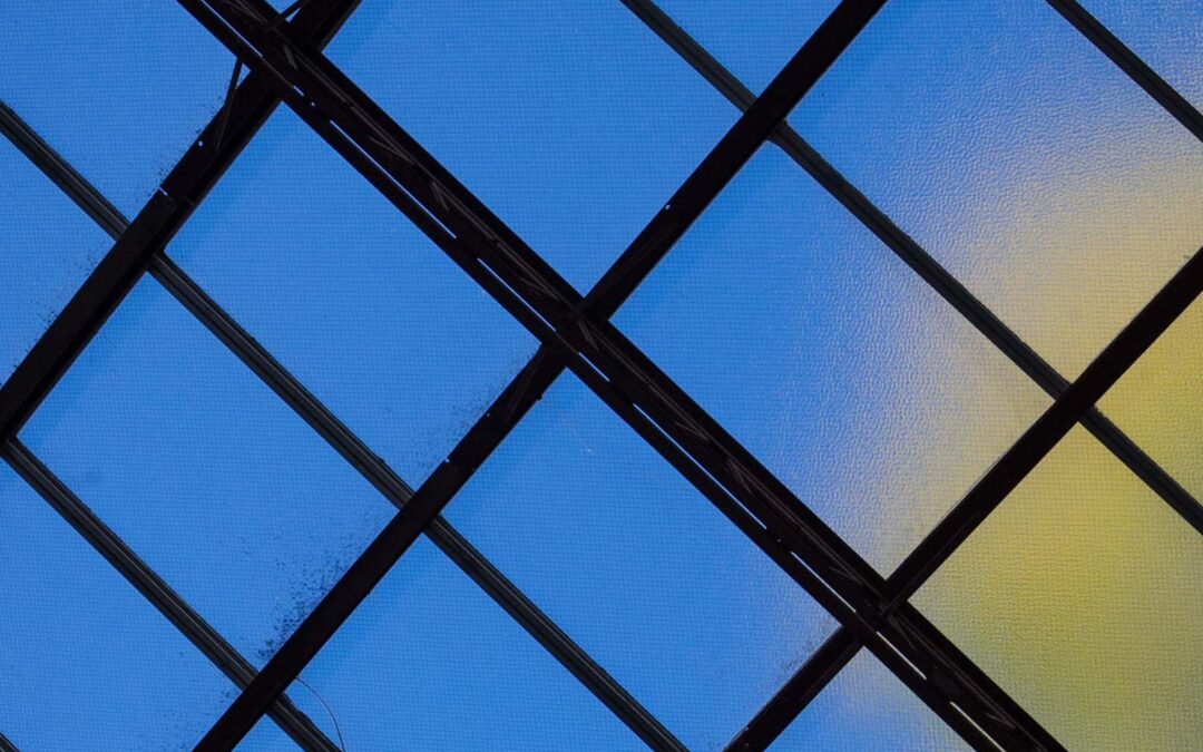 Alumni Rally to the College, 2005 Grad Appointed Board Chair